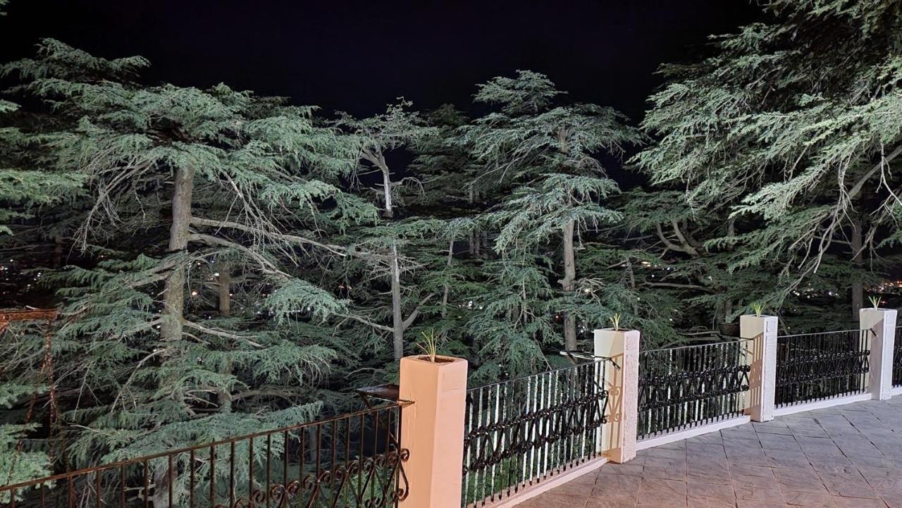Glen View Heritage Homestay Shimla Exterior photo