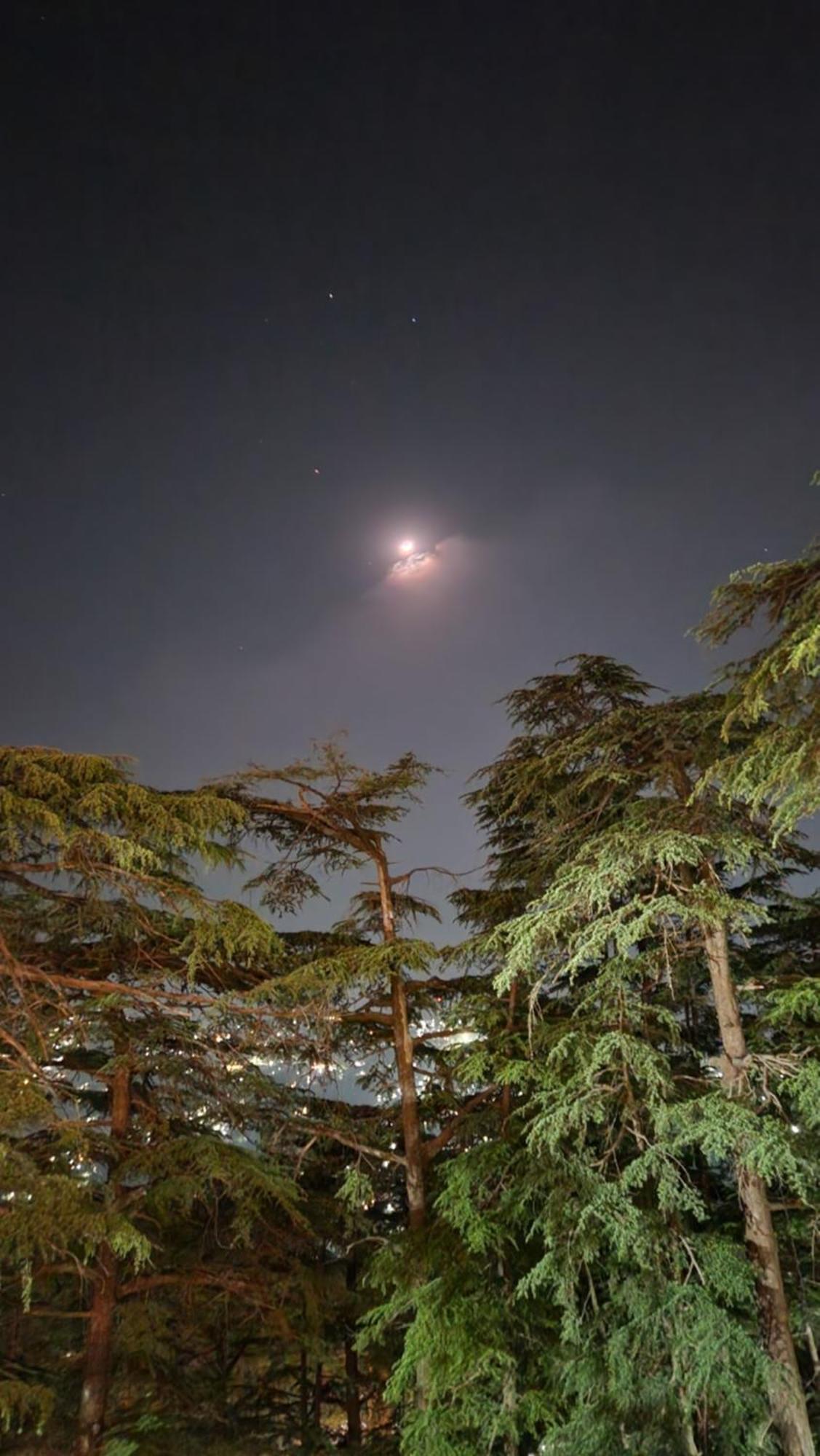 Glen View Heritage Homestay Shimla Exterior photo